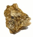 pyrolusite 30 2x2.5x1